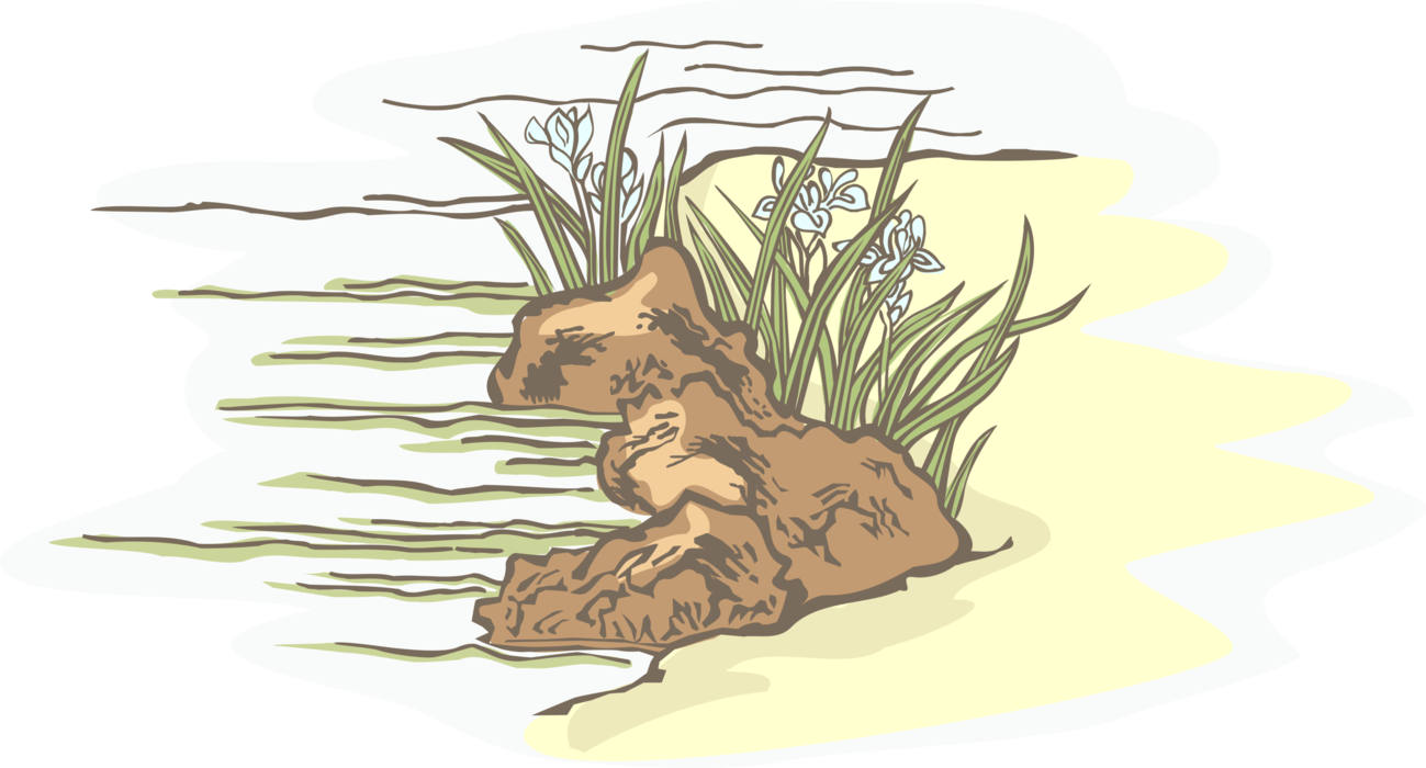 Vector Illustration of Creek Waterline Banks with Wild Flowers