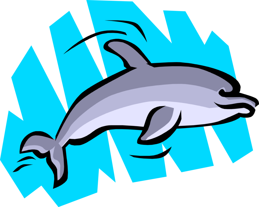 Vector Illustration of Aquatic Marine Mammal Cetacean Dolphin