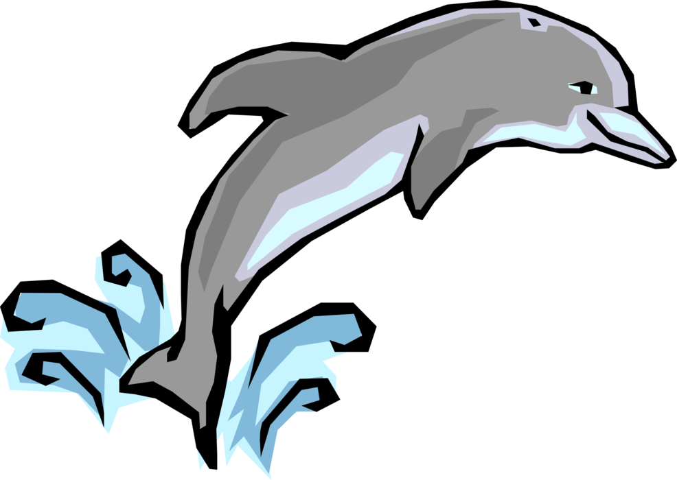 Vector Illustration of Aquatic Marine Mammal Cetacean Dolphin