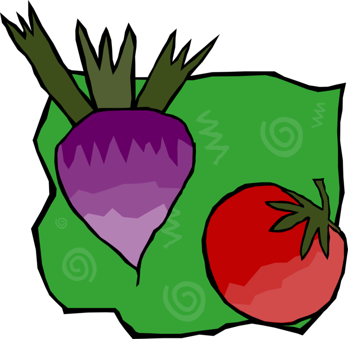 Vector Illustration of Taproot Beet Vegetable with Tomato