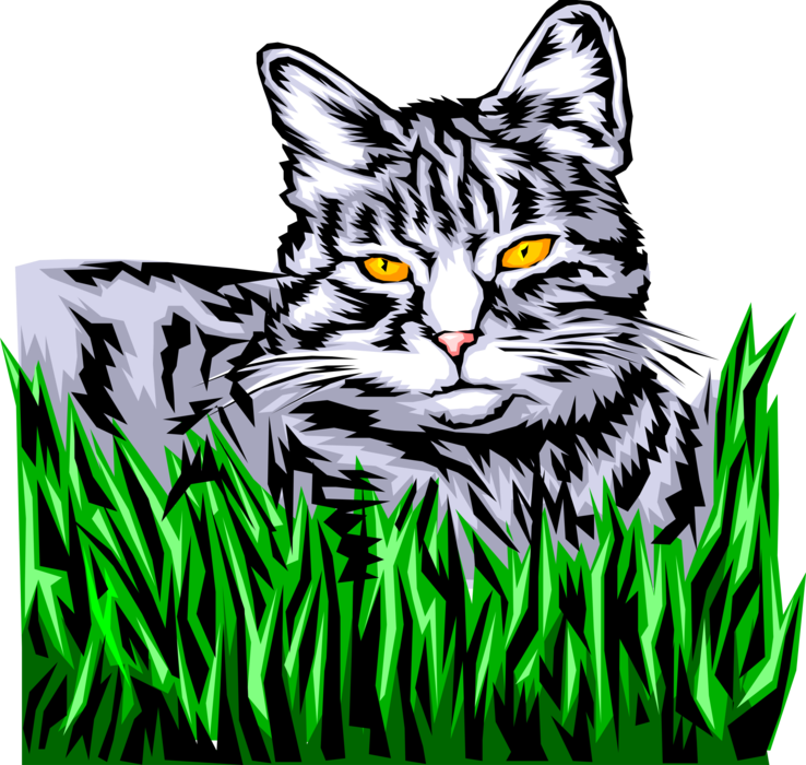 Vector Illustration of Domestic Small Domesticated Carnivore Family Pet Kitten Cat