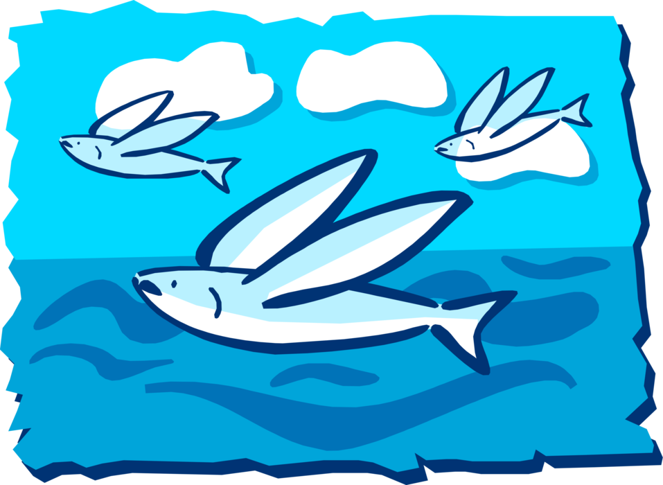 Vector Illustration of Three Marine Aquatic Flying Fish in Flight