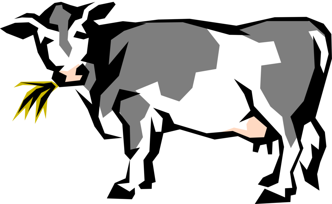 Vector Illustration of Farm Agriculture Livestock Animal Dairy Cow Chewing