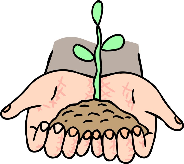 Vector Illustration of Hands Hold Seedling Germinating in Soil