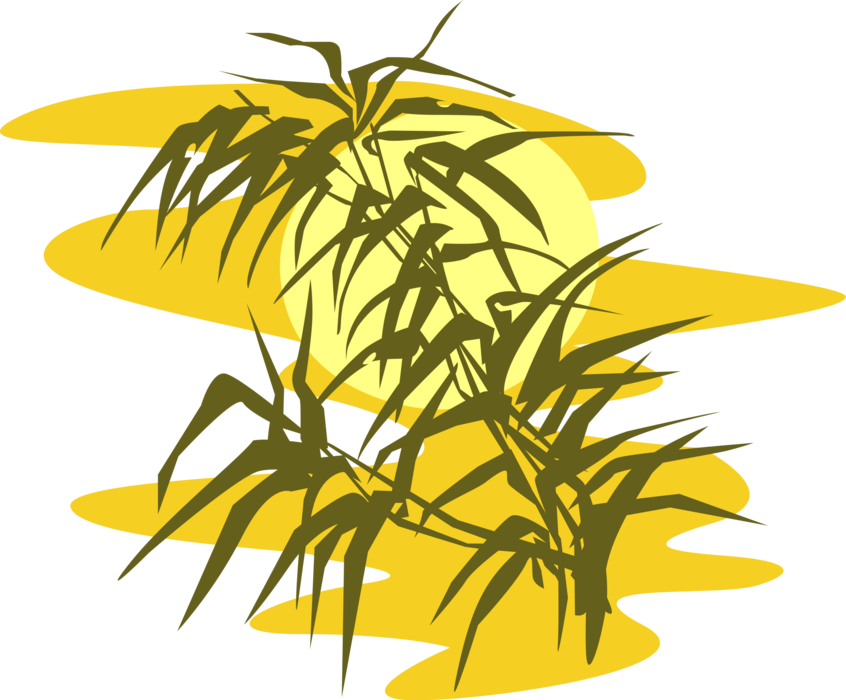 Vector Illustration of Bamboo Leaves with Evening Sunset