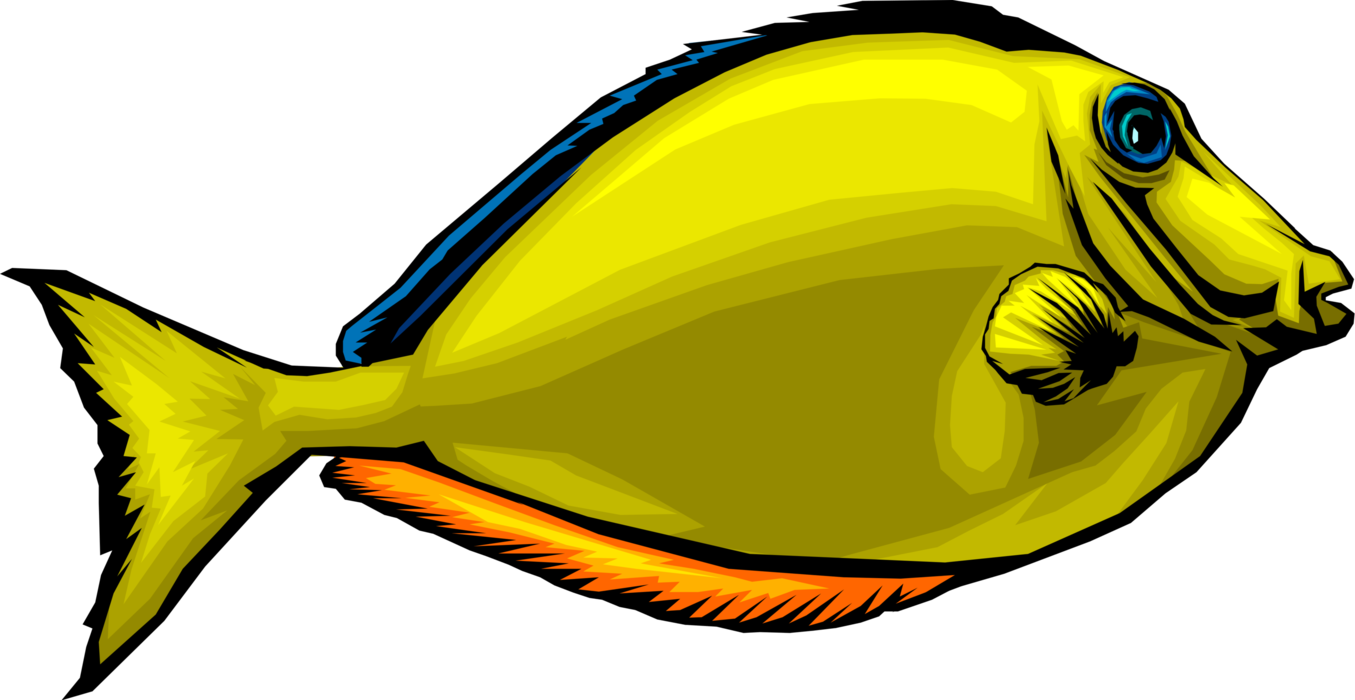 Vector Illustration of Colorful Exotic Aquarium Tropical Yellow Fish