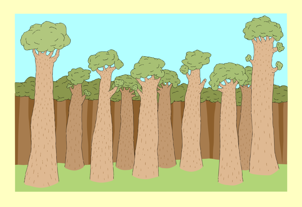 Vector Illustration of Dense Forest of Tall Deciduous Trees