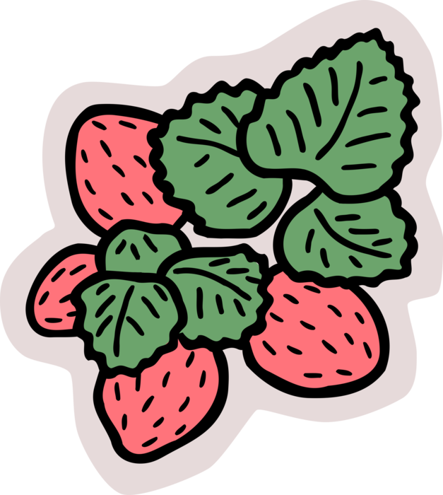 Vector Illustration of Garden Strawberry Edible Fruit