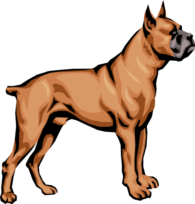 Vector Illustration of Family Pet Brindle Boxer Dog