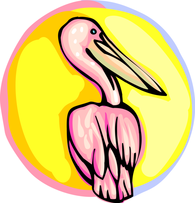 Vector Illustration of Large Water Bird Pelican