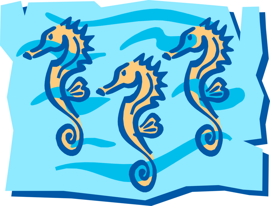 Vector Illustration of Three Hippocampus Genus Seahorses