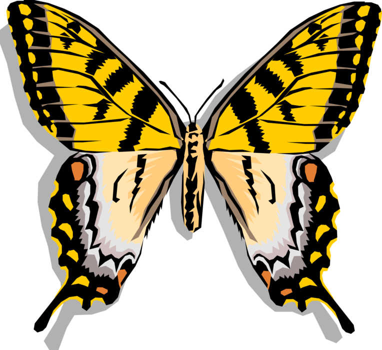 Vector Illustration of Colorful Yellow Butterfly Winged Insect