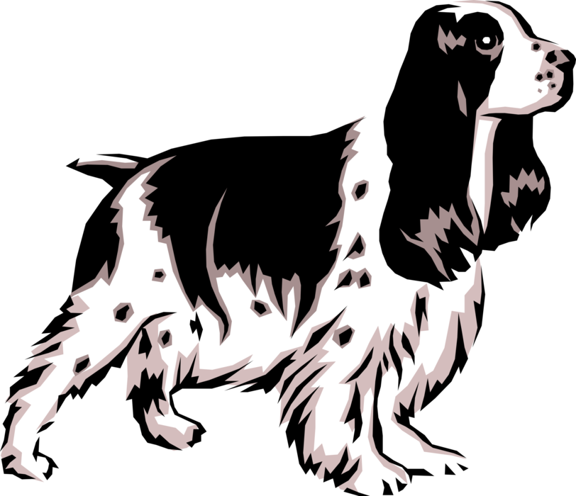Vector Illustration of Family Pet Cocker Spaniel in Classic Dog Show Pose
