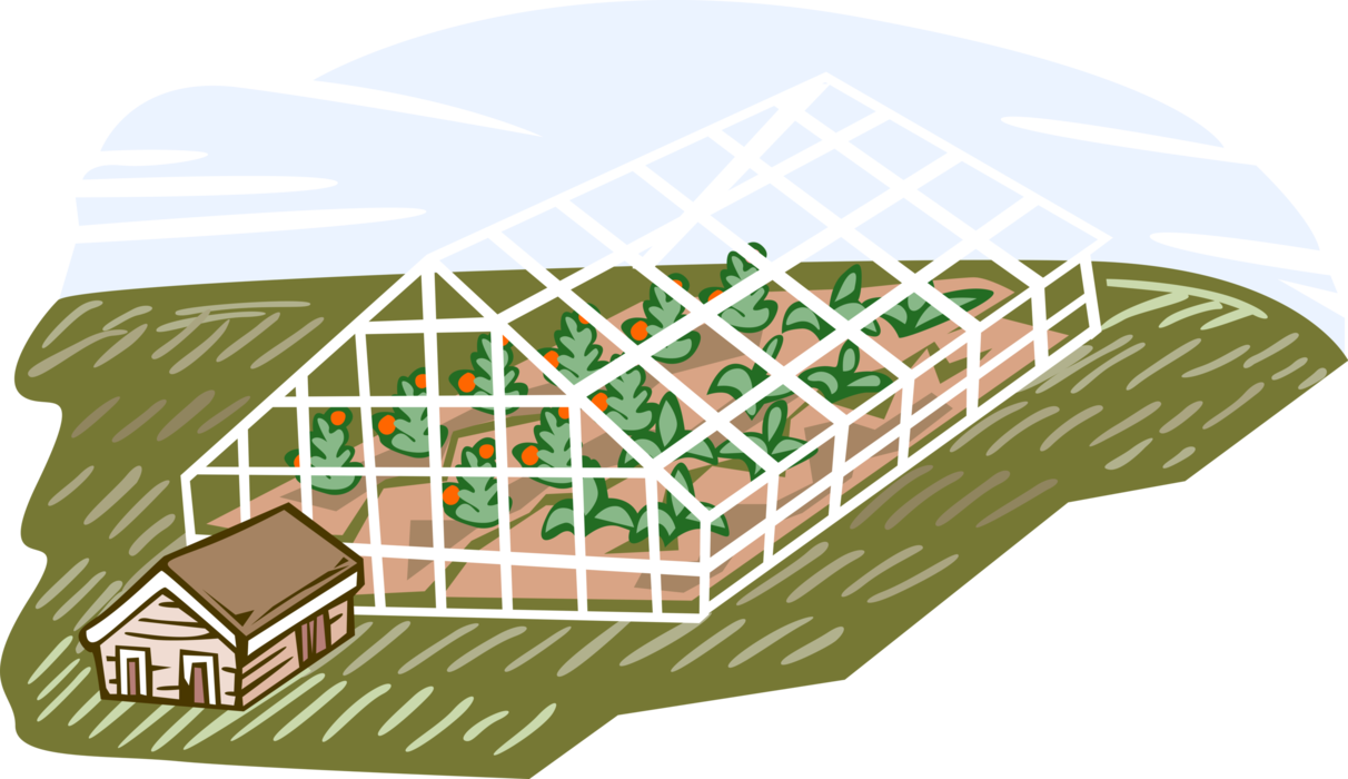 Vector Illustration of Greenhouse Nursery Where Plants are Propagated and Grown