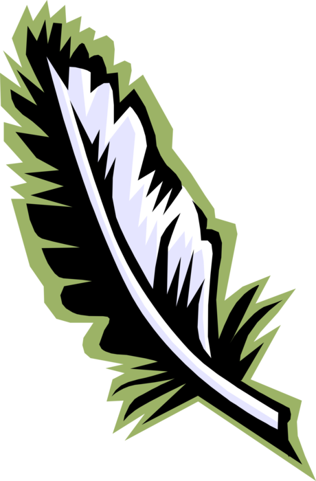 Vector Illustration of Feather Outer Coverage or Plumage on Birds