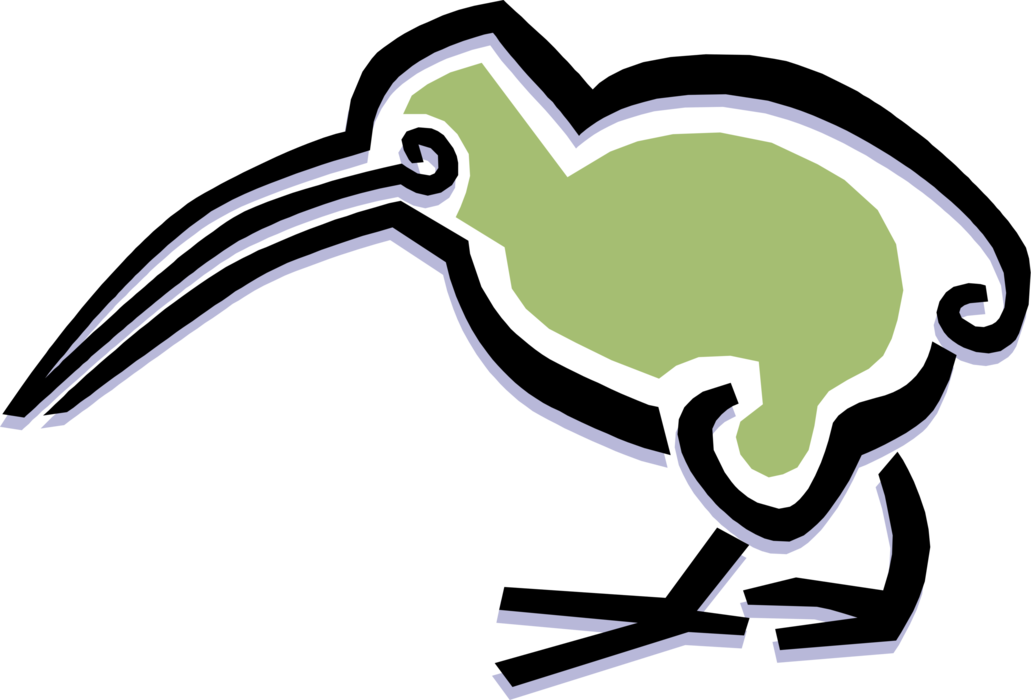 Vector Illustration of Feathered Bird Kiwi 