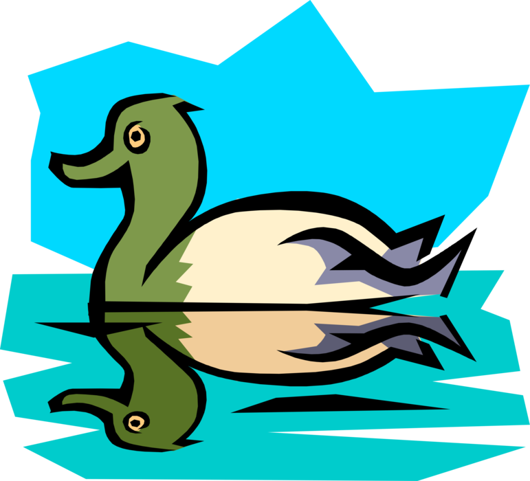 Vector Illustration of Waterfowl Duck Swimming