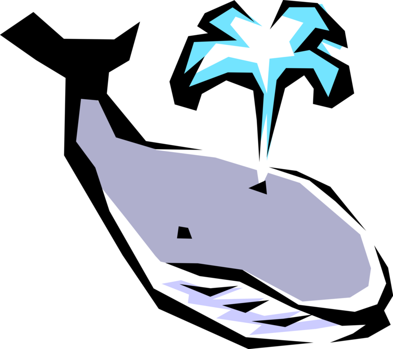 Vector Illustration of Marine Mammal Baleen Whale Blows Air