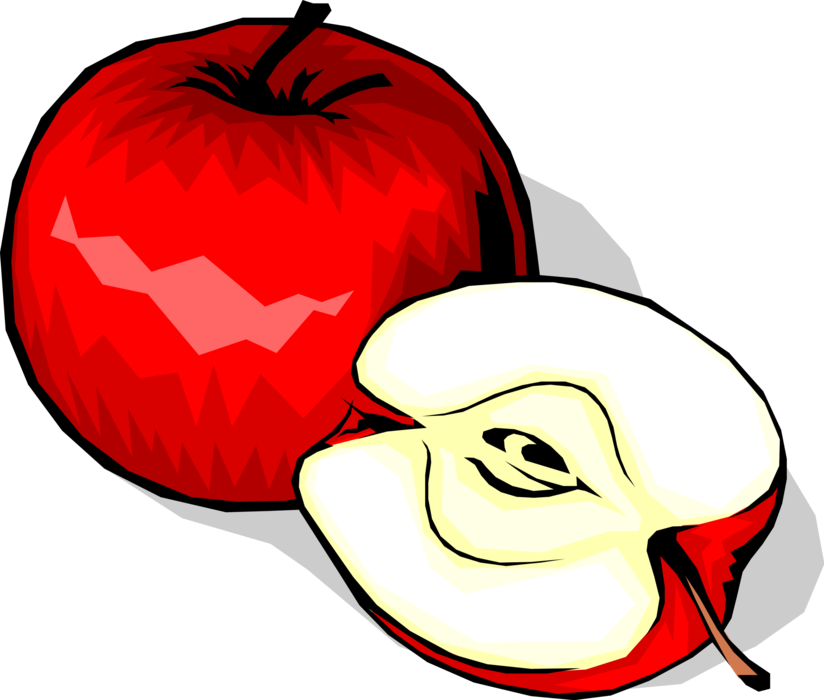 Vector Illustration of Sliced Pomaceous Edible Fruit Apple