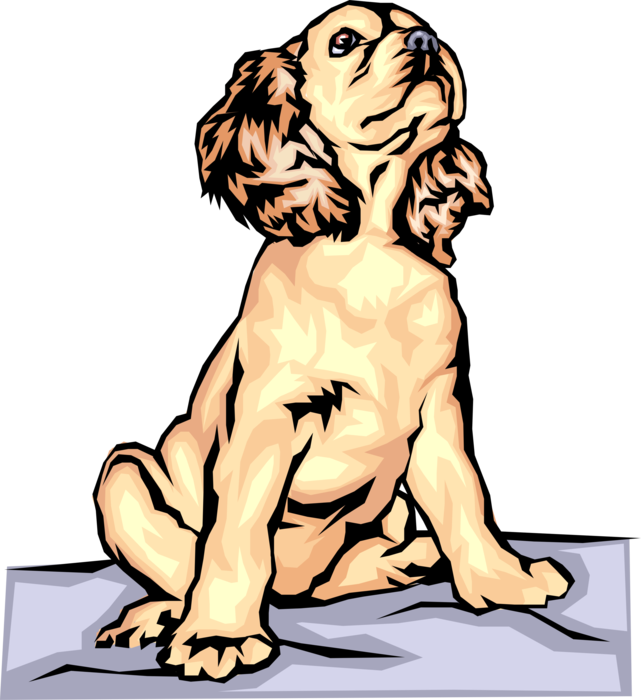 Vector Illustration of Family Pet Cocker Spaniel Dog Looking Up