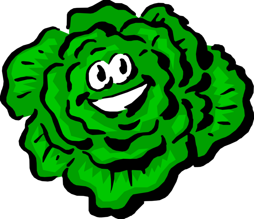 Vector Illustration of Anthropomorphic Edible Leafy Lettuce