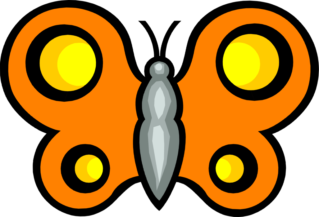 Vector Illustration of Colorful Orange Butterfly Winged Insect