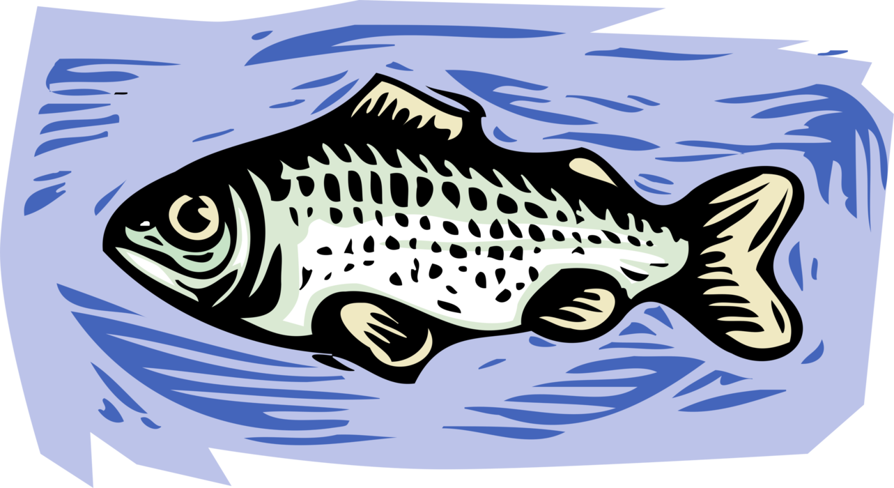 Vector Illustration of Smallmouth Bass Gamefish Fish