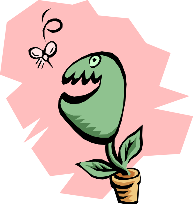Vector Illustration of Venus Fly Trap Carnivorous Plant Catches Prey Insects and Arachnids