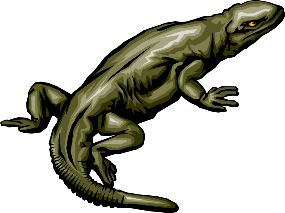 Vector Illustration of Komodo Dragon Lizard Reptile