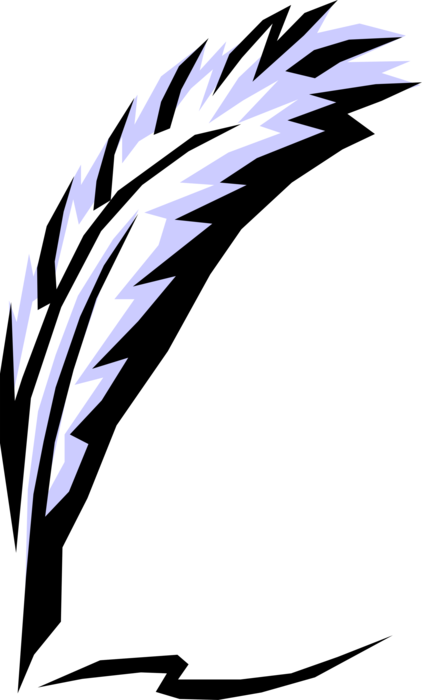 Vector Illustration of Quill Pen Flight Feather Writing Implement
