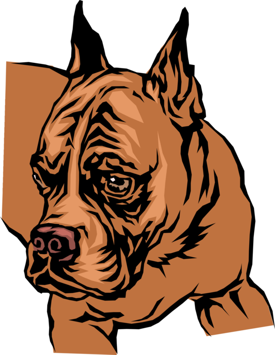 Vector Illustration of Brown Bulldog Family Pet Dog Head Turned