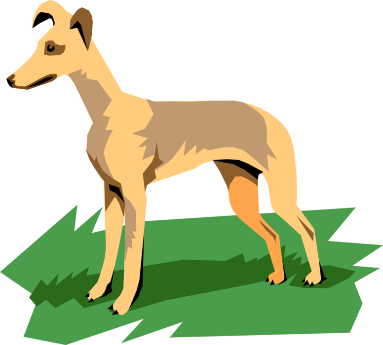 Vector Illustration of Dog Standing on Grass