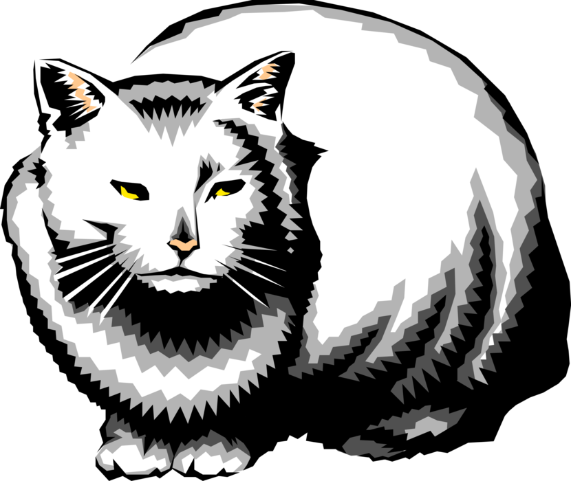 Vector Illustration of Family Pet Small Domesticated Carnivore Kitten Cat