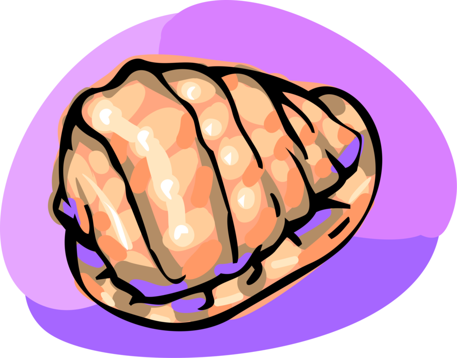 Vector Illustration of Conch Marine Aquatic Seashell