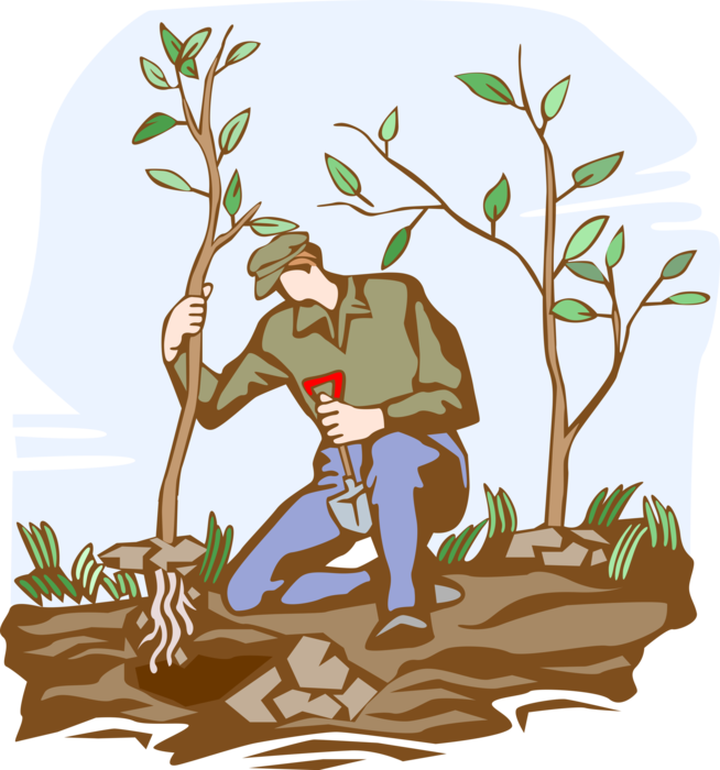 Vector Illustration of Forestry Industry Reforestation Tree Planting Restocking Depleted Forest