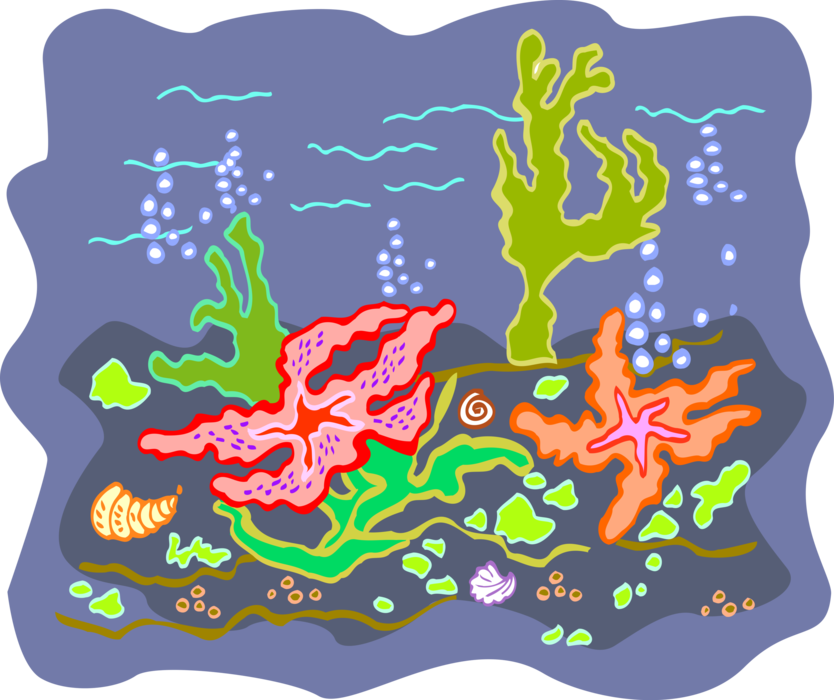 Vector Illustration of Colorful Underwater Marine Life Reef 