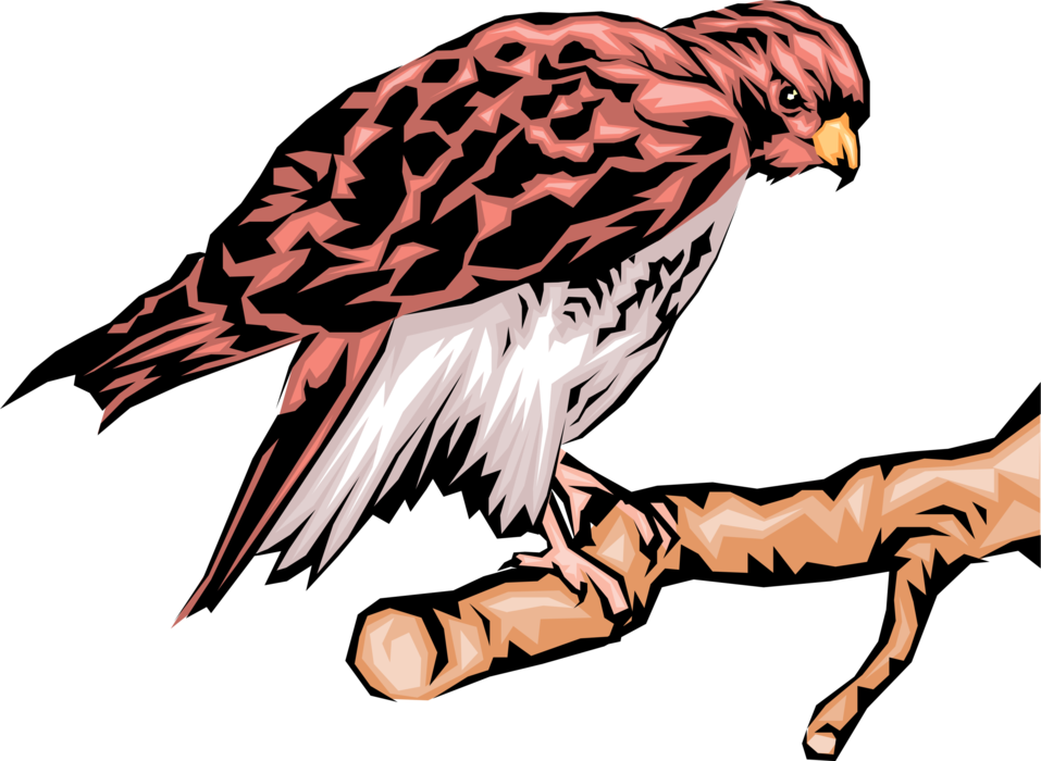 Vector Illustration of Bird of Prey Eagle Raptor Bird Resting on Tree Branch