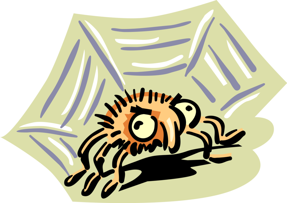 Vector Illustration of Big Eyed Arachnid Spider in Its Web