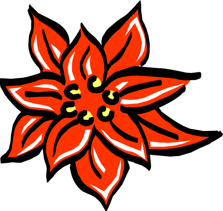 Vector Illustration of Festive Season Christmas Poinsettia Flower