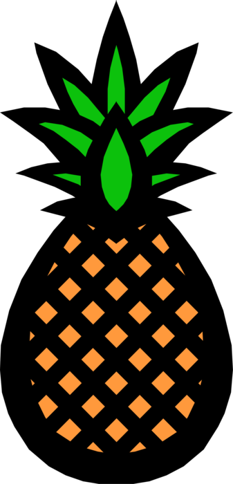 Vector Illustration of Edible Juicy Tropical Fruit Sliced Pineapple