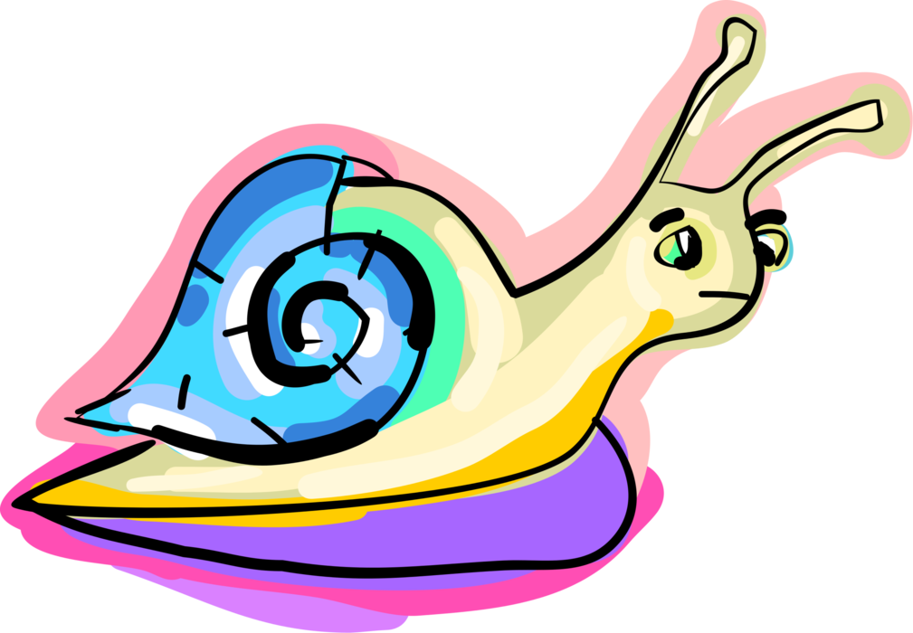 Vector Illustration of Snail or Terrestrial Gastropod Mollusk