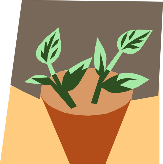 Vector Illustration of Potted Houseplant New Growth