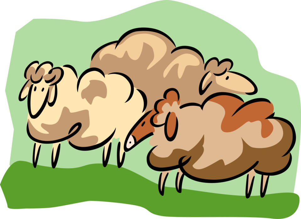 Vector Illustration of Woolly Ruminant Livestock Mammal Sheep in Pasture