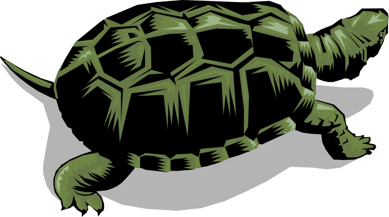 Vector Illustration of Marine Reptile Green Sea Turtle or Tortoise
