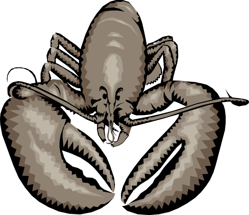 Vector Illustration of Clawed Lobster Shellfish Marine Seafood Crustacean