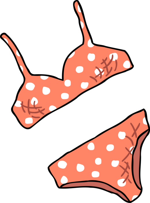 Vector Illustration of Woman's Swimwear Bikini Swimsuit