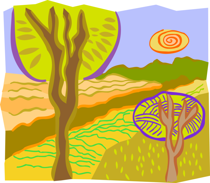 Vector Illustration of Forest Trees with Paths