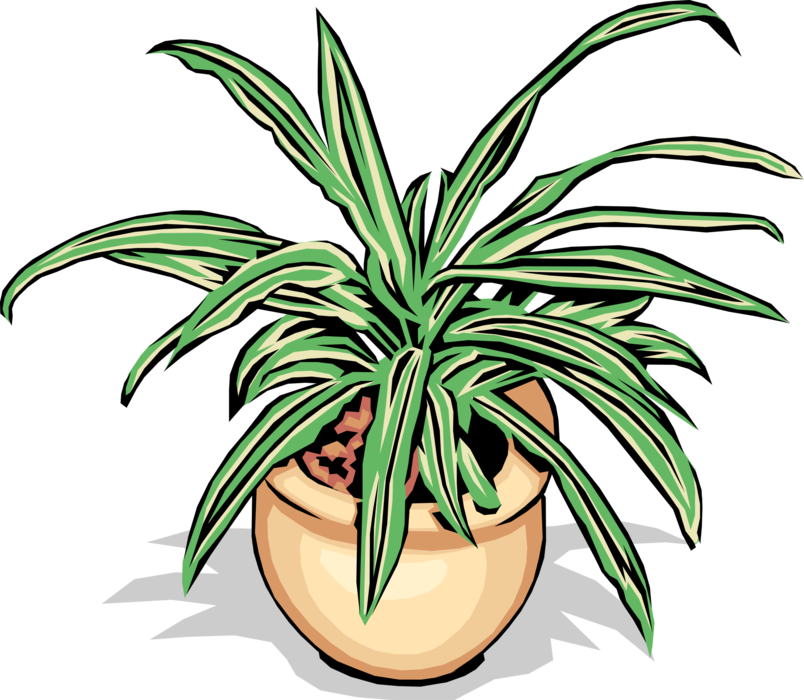 Vector Illustration of Potted Houseplant