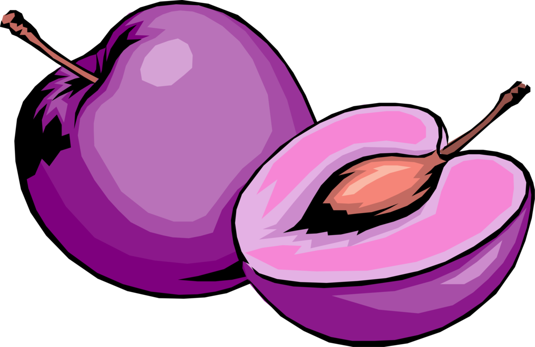 Vector Illustration of Purple Plum Edible Fruit