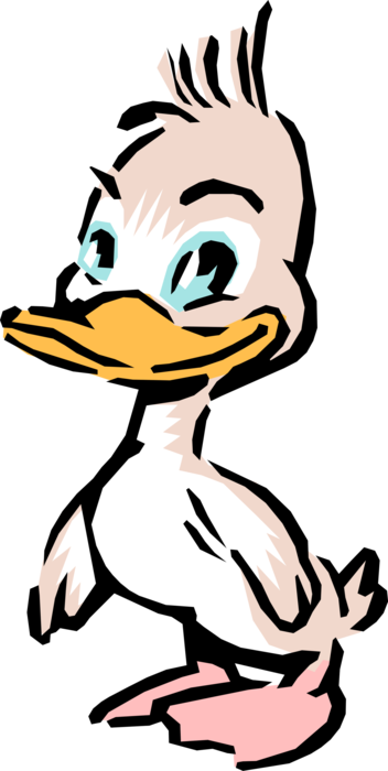 Vector Illustration of Cartoon White Duck Bird Standing